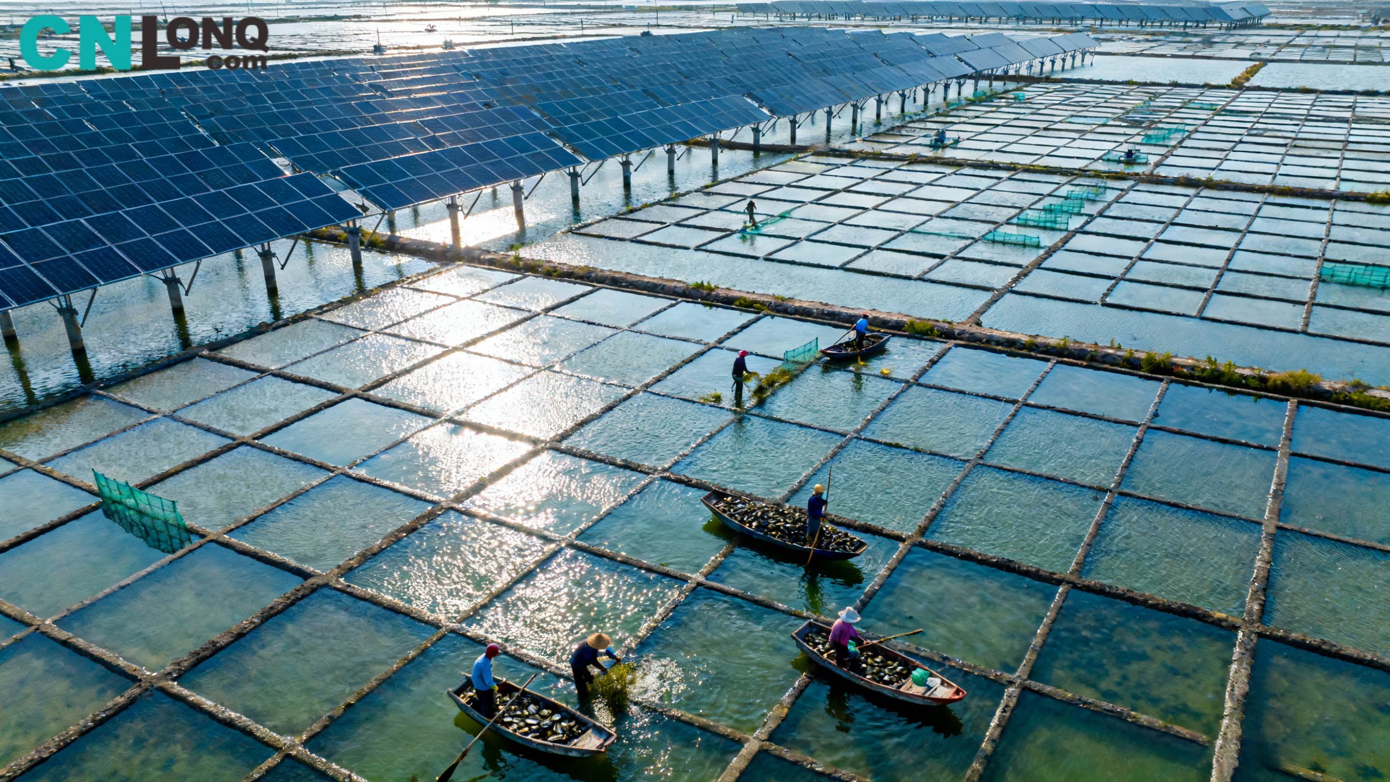 A teljes beruházás 1,2 milliárd RMB! A 250 MW-os Xindao Qingkou sómező „halászati ​​és napelemes kiegészítő” projekt úttörő